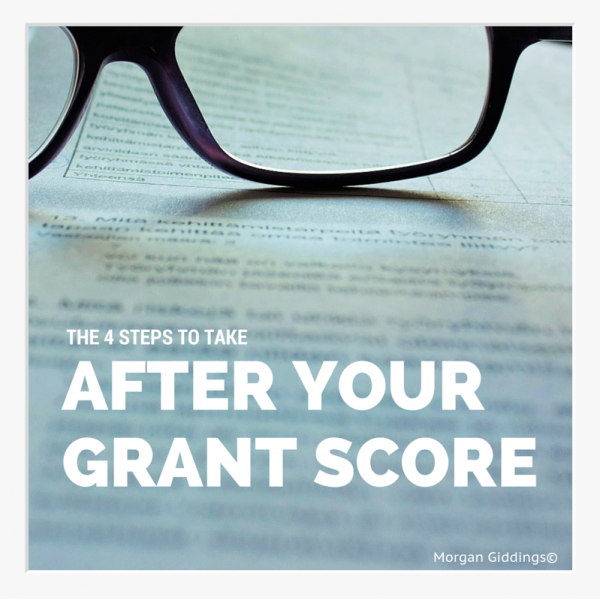 You’ve got your NIH grant score results, now what?