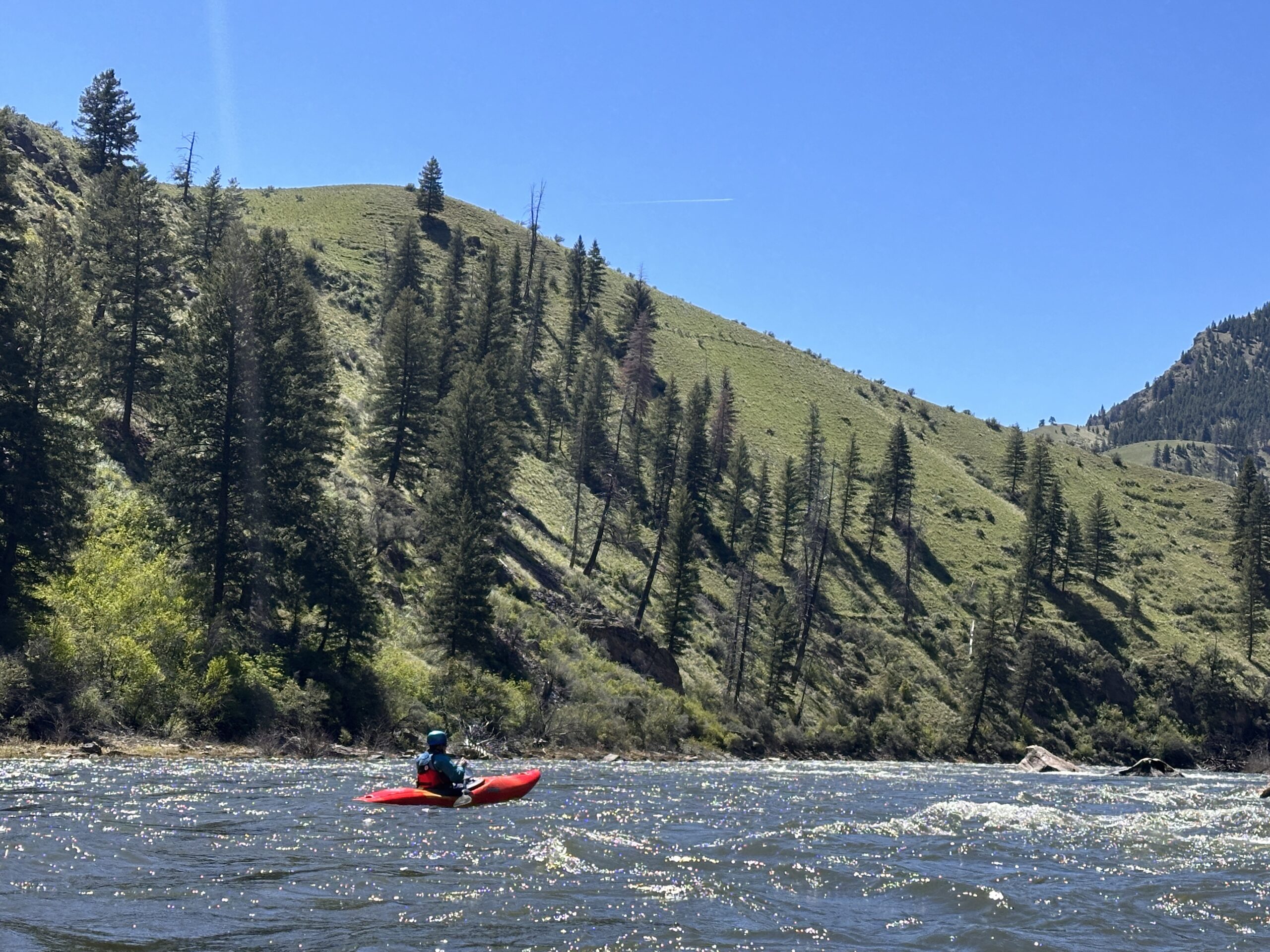 Kayaking and Grant Writing: Mastering the Art of Anticipation